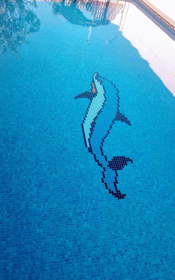 Flamingo Vila Alicante San Pedro del Pinatar Eksteriør billede
