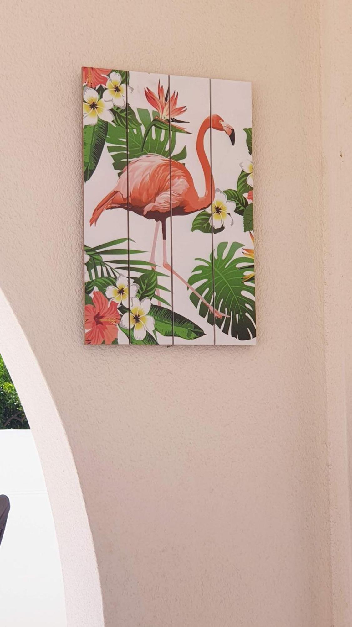 Flamingo Vila Alicante San Pedro del Pinatar Eksteriør billede